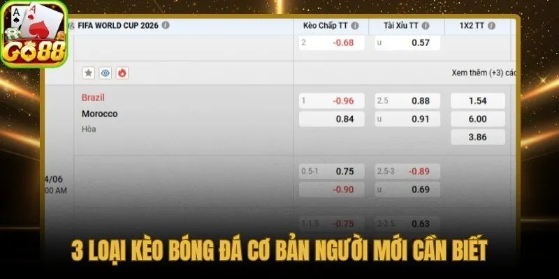 Cá độ bóng đá qua 3 loại kèo chiếm 90% trận đấu