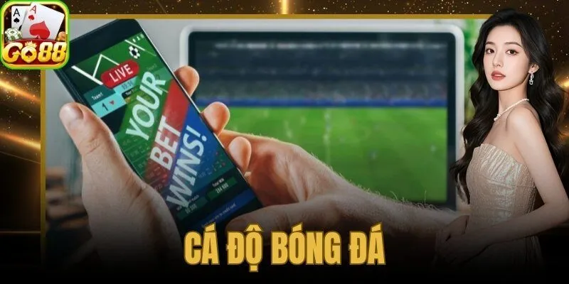 cá độ bóng đá