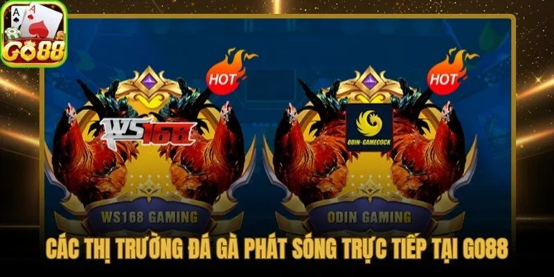 Thomo và Philippines - hai đấu trường đá gà danh tiếng nhất châu Á