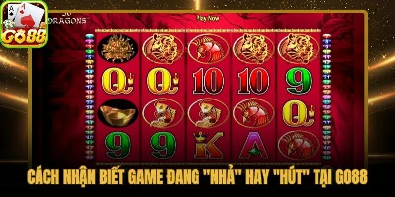 Kinh nghiệm chơi nổ hũ qua tín hiệu Wild/Scatter và chu kỳ nhả thưởng