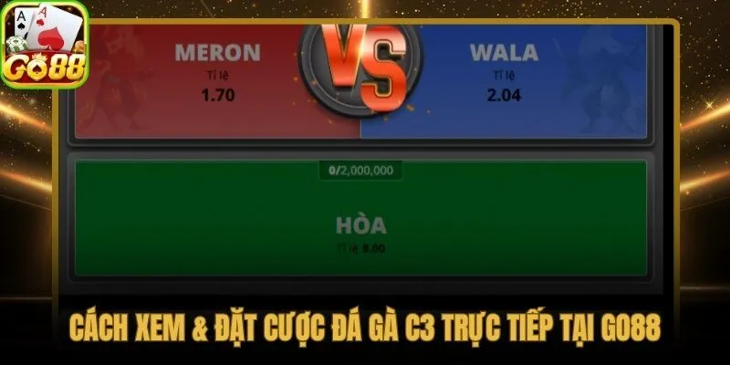 Đá gà trực tiếp C3 livestream và kèo real-time cùng lúc