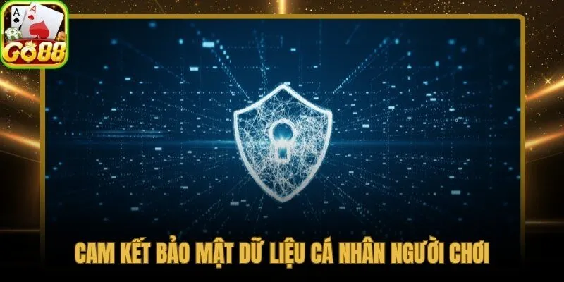 Quyền riêng tư được bảo đảm dữ liệu không bán cho bên thứ ba