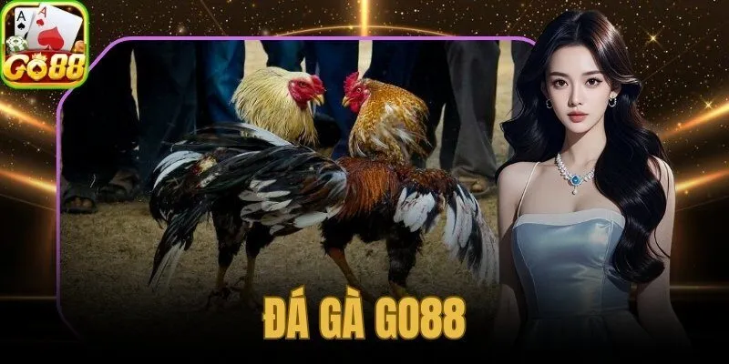 đá gà Go88