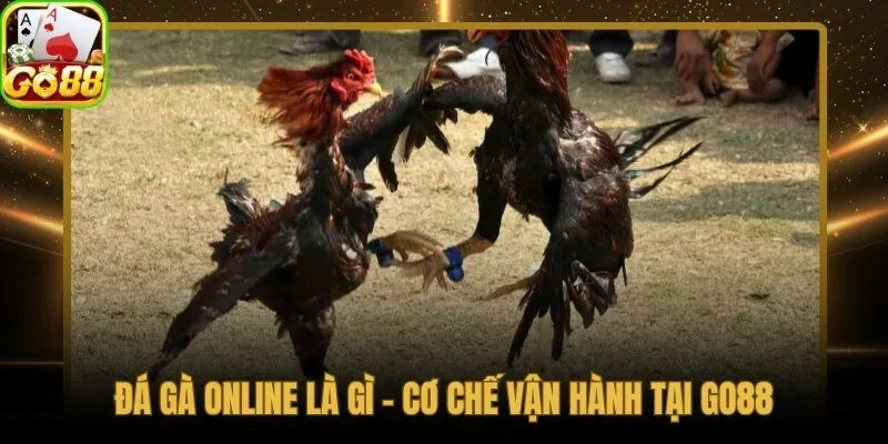 Đá gà online trực tuyến và cơ chế cược theo thời gian thực
