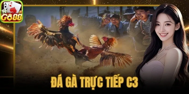 đá gà trực tiếp C3