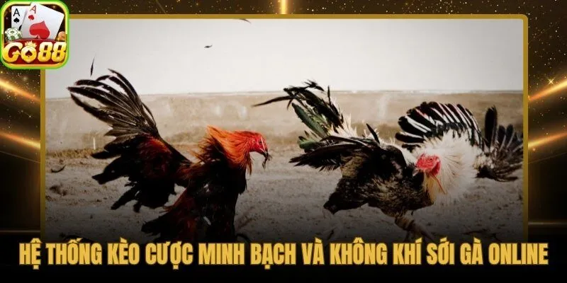 Kèo đá gà Go88 cập nhật theo thời gian thực - minh bạch và công bằng