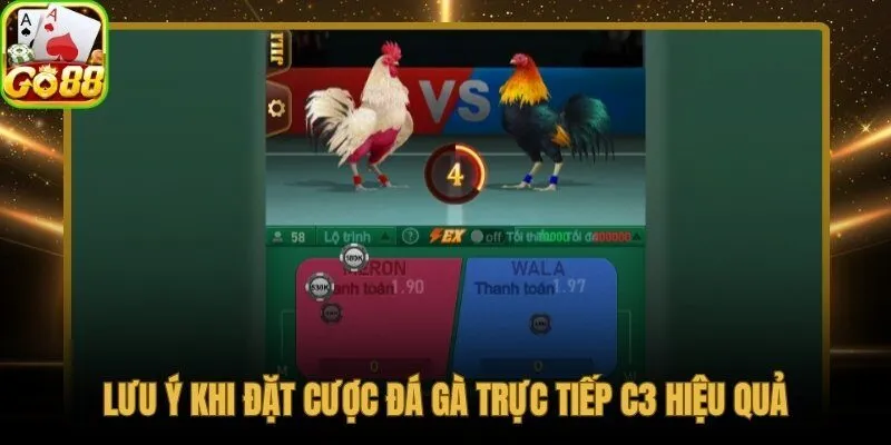 Quan sát phong độ thực chiến và phân bổ vốn hợp lý theo trận