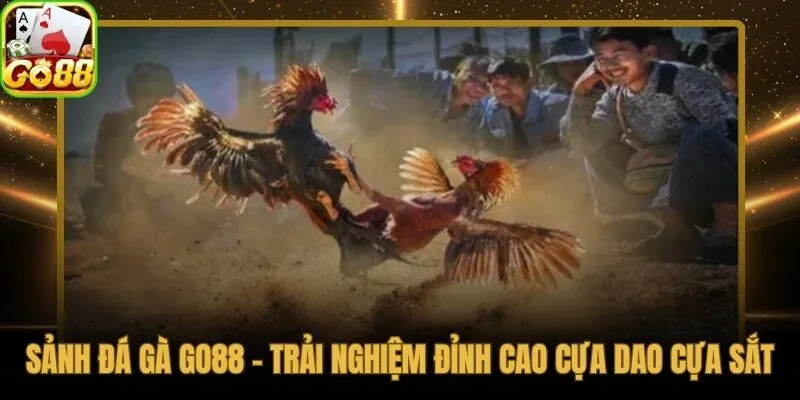 Sảnh đá gà online với Cựa Dao Cựa Sắt từ Thomo và Sabong